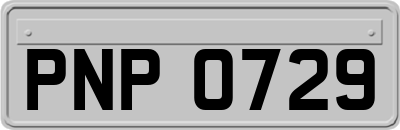 PNP0729