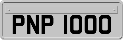PNP1000