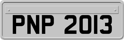 PNP2013