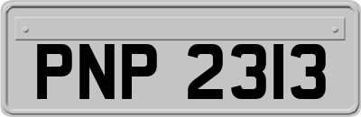 PNP2313