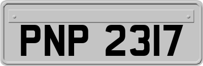 PNP2317