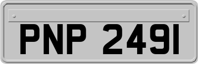 PNP2491