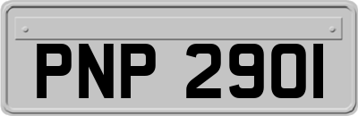 PNP2901