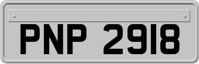 PNP2918