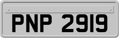PNP2919