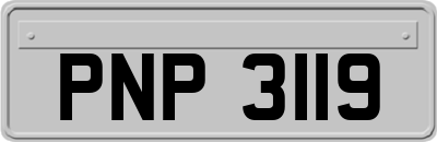 PNP3119