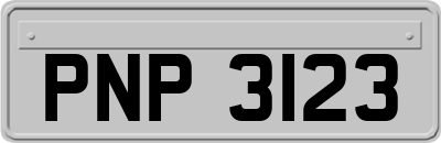 PNP3123