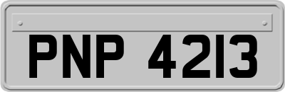 PNP4213