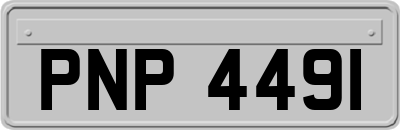 PNP4491