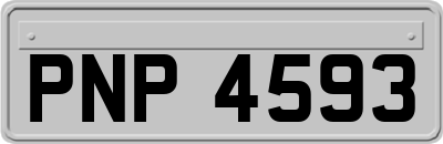 PNP4593
