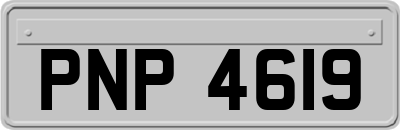 PNP4619
