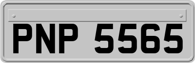 PNP5565