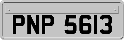 PNP5613
