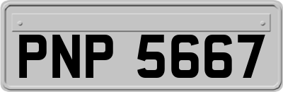 PNP5667