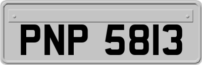 PNP5813