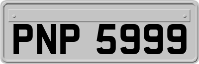 PNP5999