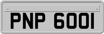 PNP6001