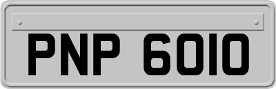PNP6010