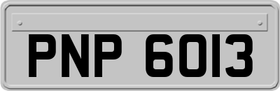 PNP6013