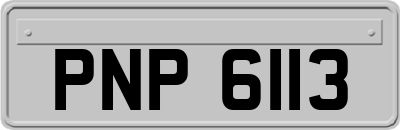 PNP6113