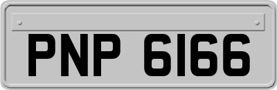 PNP6166