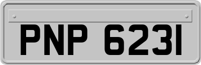 PNP6231