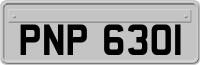 PNP6301