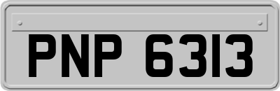 PNP6313