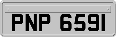 PNP6591