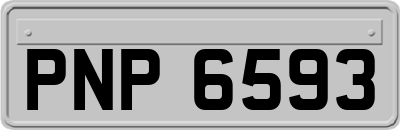PNP6593