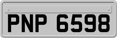 PNP6598