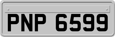 PNP6599