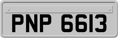 PNP6613