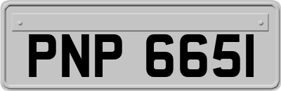PNP6651