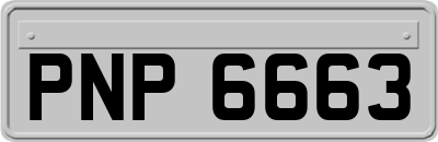 PNP6663