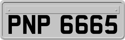 PNP6665