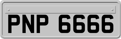 PNP6666