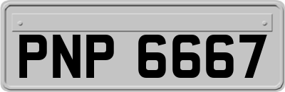 PNP6667