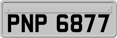 PNP6877
