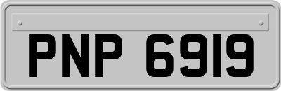 PNP6919