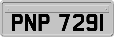 PNP7291