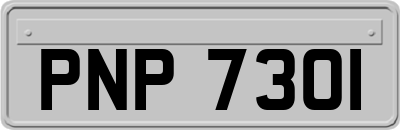 PNP7301