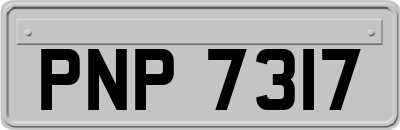 PNP7317