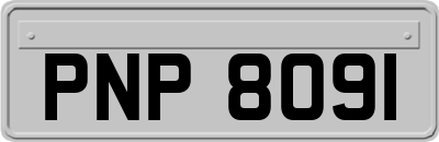 PNP8091