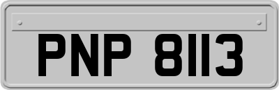 PNP8113