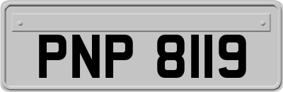 PNP8119