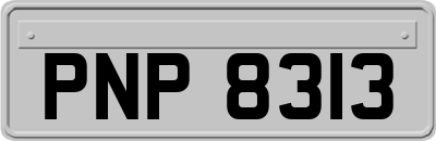 PNP8313
