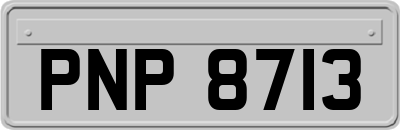 PNP8713