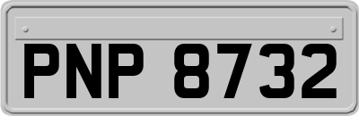 PNP8732