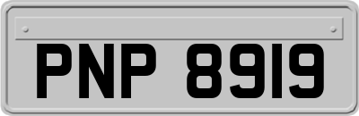 PNP8919